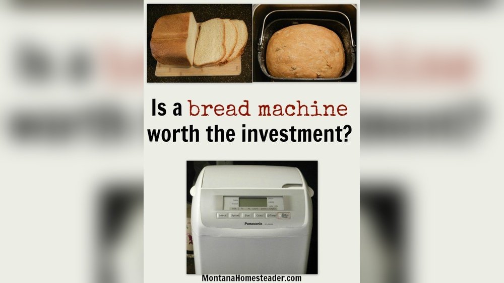 Are Bread Makers Worth the Investment? Discover the Truth! Are Bread Makers Worth the Investment?