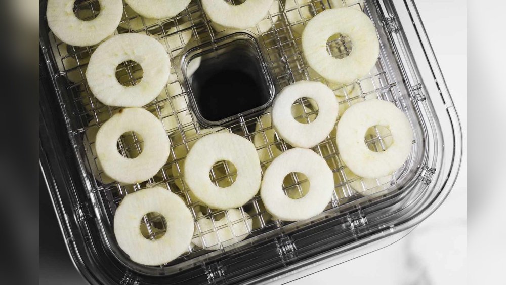 Can a Food Dehydrator Help Reduce Food Waste? Smart Solutions Can a Food Dehydrator Help Reduce Food Waste?