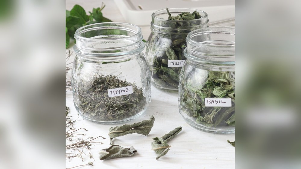 Can I Dehydrate Herbs in a Food Dehydrator? Easy Guide! Can I Dehydrate Herbs in a Food Dehydrator?