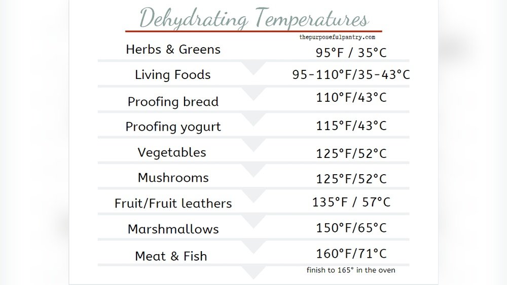 What Temperature Should I Use for Dehydrating Vegetables? Expert Tips What Temperature Should I Use for Dehydrating Vegetables?